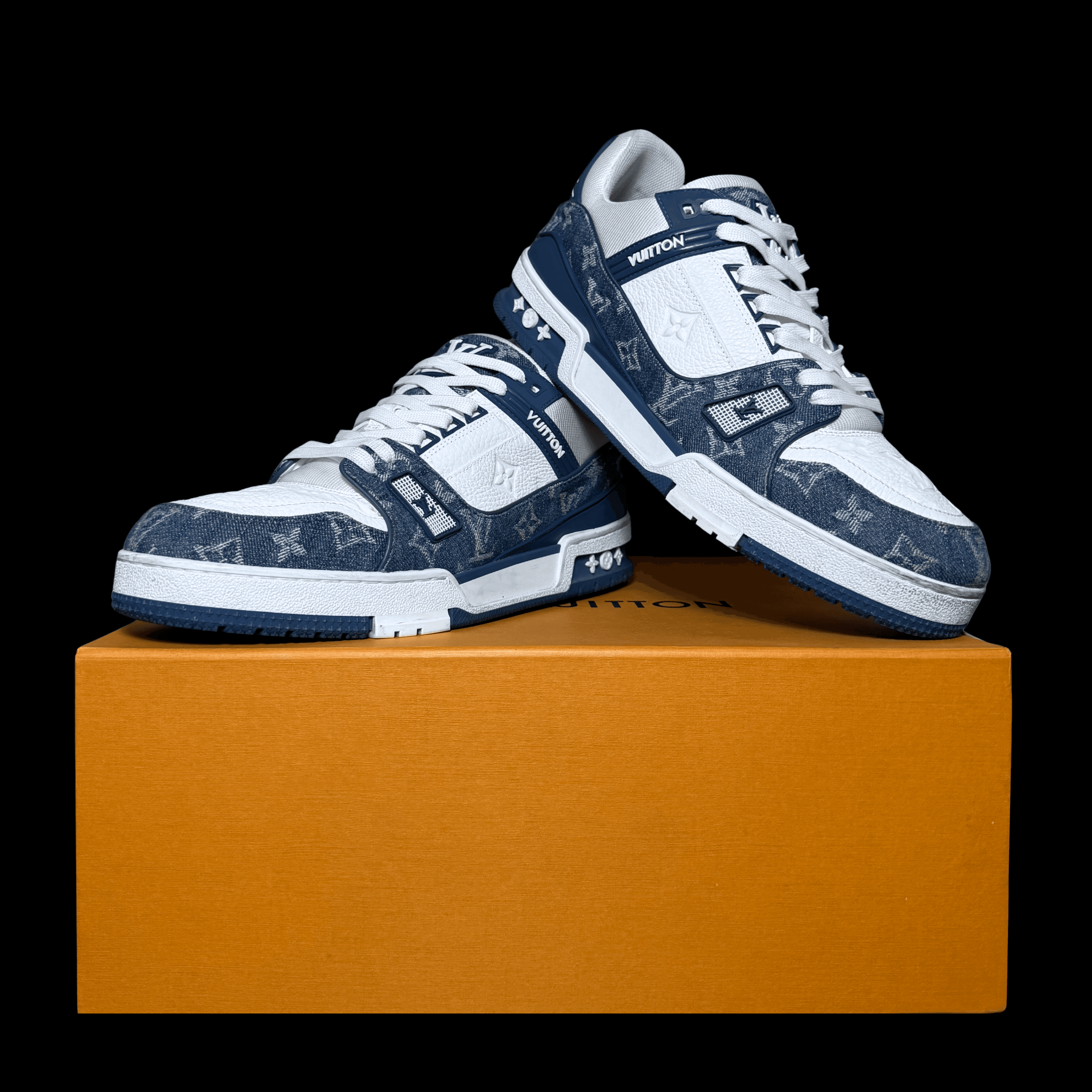 LV Trainers